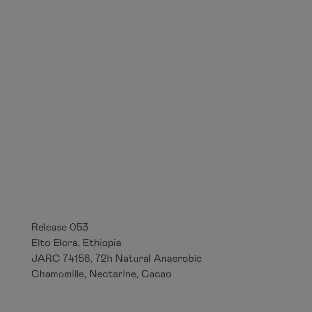 Release 053 - Elto Elora, JARC 74158, 72h Natural Anaerobic
